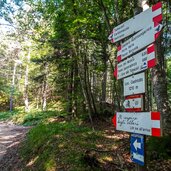 sentiero respiro degli alberi lavarone segnavia