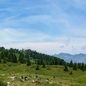 Vista del Rifugio Peller e sullo sfondo cime della Val di Non