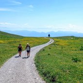 Strada verso Malga Tassula e imbocco Val Nana