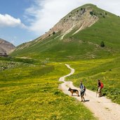 Val Nana Malga Tassula e Monte Peller