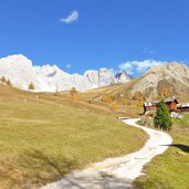 prati presso malga di bosco bruciato falcade