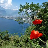 lago di garda vista su riva