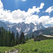 Malga Juribrutto e Pale di San Martino