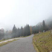 malga boer nebbia presso fuciade autunno