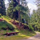 sentiero per malga campo di celentino