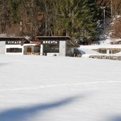 vivaio brenta inverno