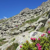 sentiero verso lago serodoli