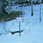 sentiero per malga valagola inverno segnavia