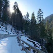 sentiero per malga valagola inverno