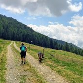 Arrivo a Malga Campo