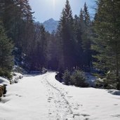 sentiero per malga valagola inverno