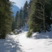 sentiero per malga valagola inverno