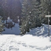 sentiero per malga valagola inverno