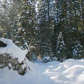 sentiero per malga valagola inverno