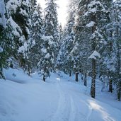 sentiero per malga valagola inverno