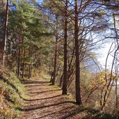 sentiero per monte lefre autunno