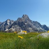 cimon della pala