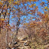 sentiero per monte lefre autunno