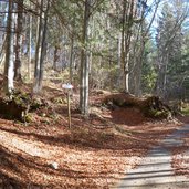 sentiero per monte lefre presso prati dei floriani