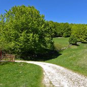 sentiero strada militare per busoni e cima borghetto