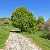 sentiero strada militare per busoni e cima borghetto