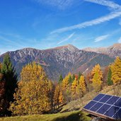 larici in autunno sul monte lefre