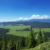 vista sui prati di passo vezzena