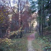 discesa dal monte lefre strada forestale ravacene