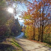 strada per strigno autunno