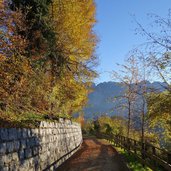sentiero da strigno a ivano fracena in autunno