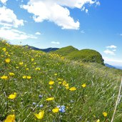 prati primaverili presso cima borghetto