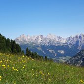 vista su catinaccio da rifugio passo lusia