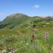 alpe di lusia prati e panorami