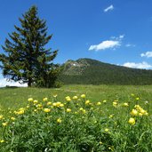 cima vezzena e prati