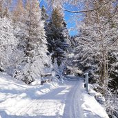 sentiero per malga masi inverno