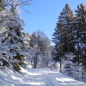 sentiero per malga masi inverno