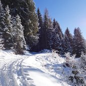 sentiero per malga masi inverno