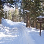 sentiero per malga masi inverno segnavia