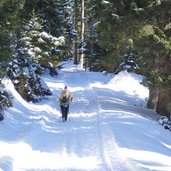 sentiero per malga masi inverno