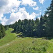 sentiero per panarotta