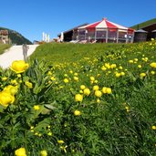 wiesen bei ganischger alm