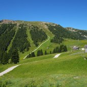 wiesen bei reiterjoch passo pampeago und zanggenberg