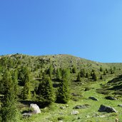 limite del bosco sopra palu del fersina