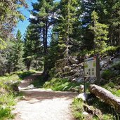 weg nr von mayrl alm nach oberholz