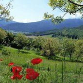 bleggio superiore campi all imbocco per la val marcia primavera