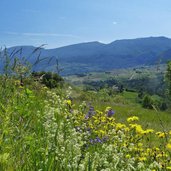 bleggio superiore campi all imbocco per la val marcia primavera