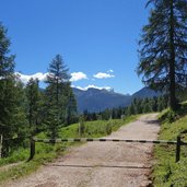 sentiero da passo costalunga a moena