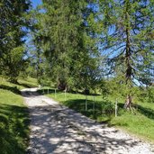 sentiero da passo costalunga a moena