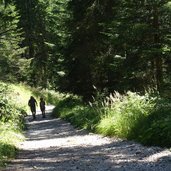 sentiero da passo costalunga a moena escursionisti