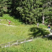 sentiero da passo costalunga a moena escursionisti